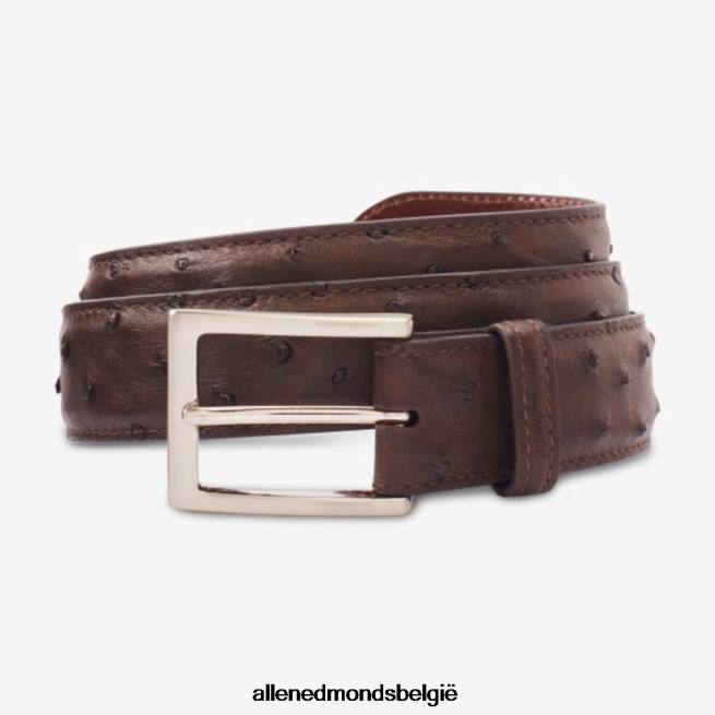 uniseks Allen Edmonds struisvogel avenue jurk riem espresso bruin HDSF45285