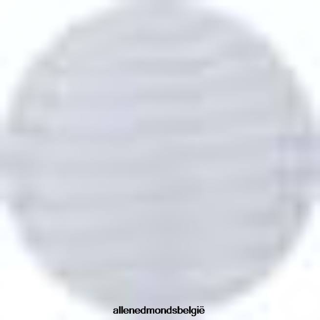 uniseks Allen Edmonds Billy Reid gewatteerde pullover met halve rits hemelsblauw HDSF45537