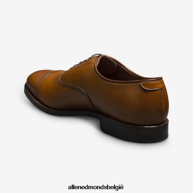Heren Allen Edmonds park avenue oxford geklede schoen met cap toe walnoot bruin HDSF4541