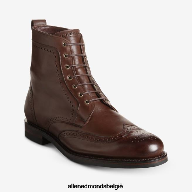 Heren Allen Edmonds dalton weerbestendige geklede laars met dainite rubberen zool bruin HDSF45134