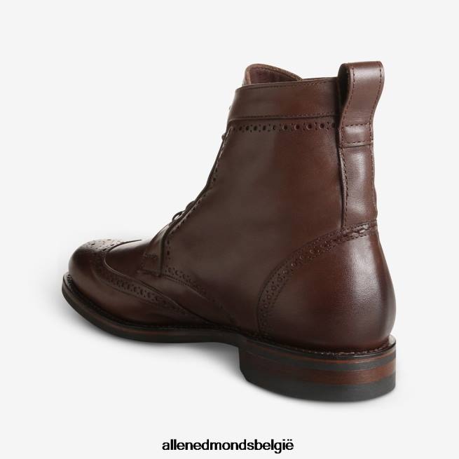 Heren Allen Edmonds dalton weerbestendige geklede laars met dainite rubberen zool bruin HDSF45134