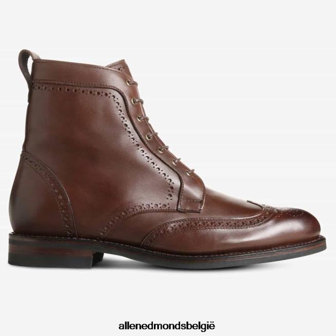 Heren Allen Edmonds dalton weerbestendige geklede laars met dainite rubberen zool bruin HDSF45134