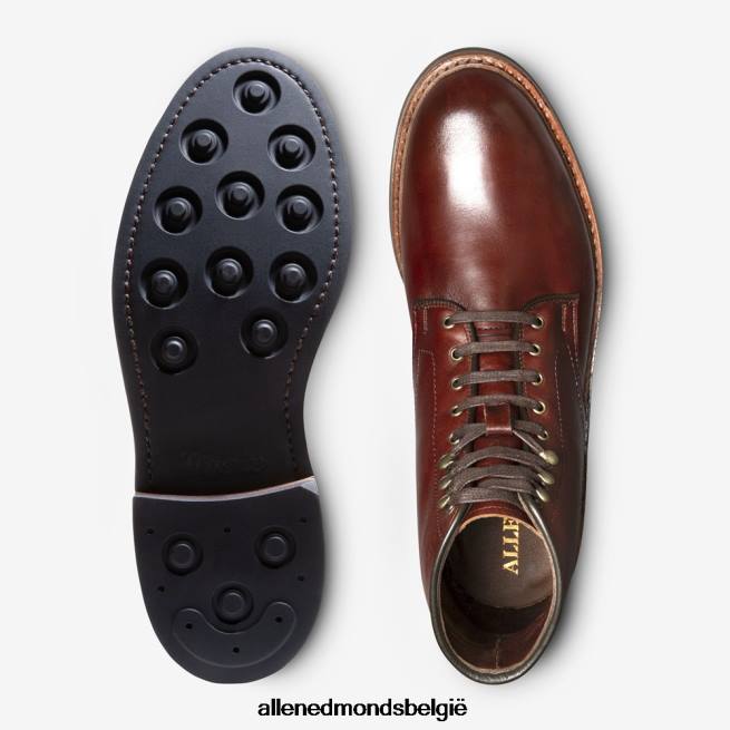 Heren Allen Edmonds higgins mill weerbestendige laars chili chromexcel leer HDSF4525