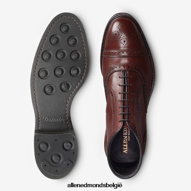 Heren Allen Edmonds Hamilton weerbestendige oxford geklede laars Chili HDSF4555