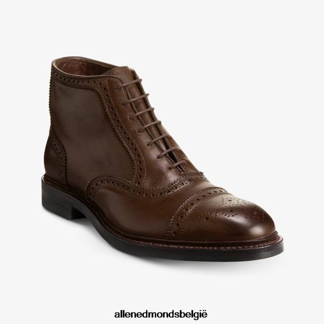 Heren Allen Edmonds Hamilton weerbestendige oxford geklede laars bruin HDSF45344