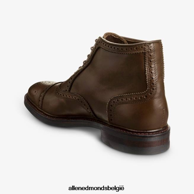 Heren Allen Edmonds Hamilton weerbestendige oxford geklede laars bruin HDSF45344