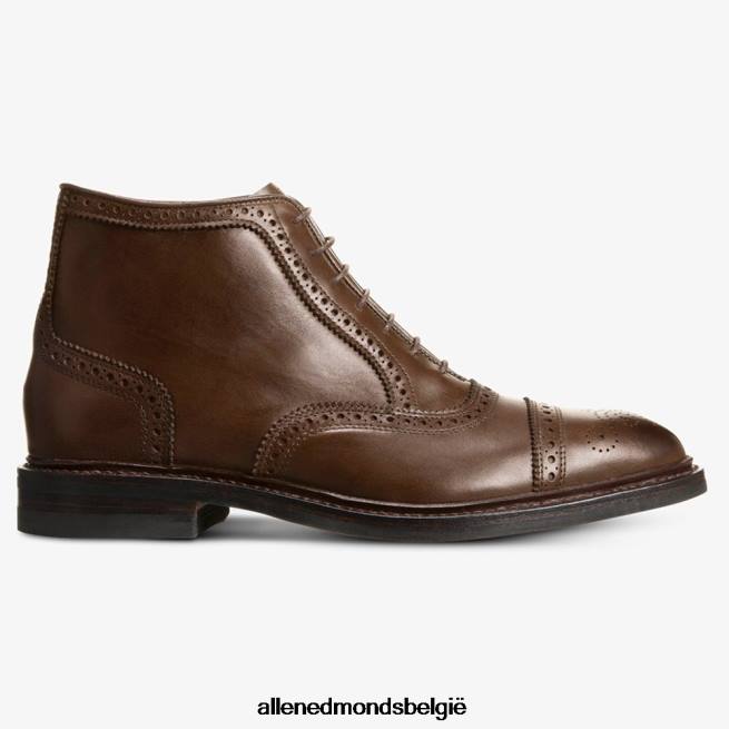 Heren Allen Edmonds Hamilton weerbestendige oxford geklede laars bruin HDSF45344