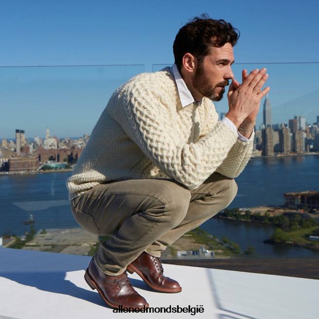 Heren Allen Edmonds higgins mill laars met chromexcel leer bruin HDSF4527