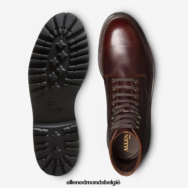 Heren Allen Edmonds higgins mill weerbestendige laars met profielzool bordeaux HDSF45261