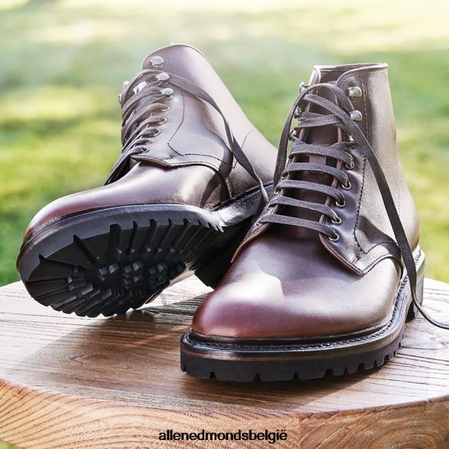 Heren Allen Edmonds higgins mill weerbestendige laars met profielzool bordeaux HDSF45261