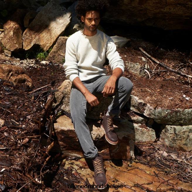 Heren Allen Edmonds park city weerbestendige veterlaars snuif bruin suède HDSF45148