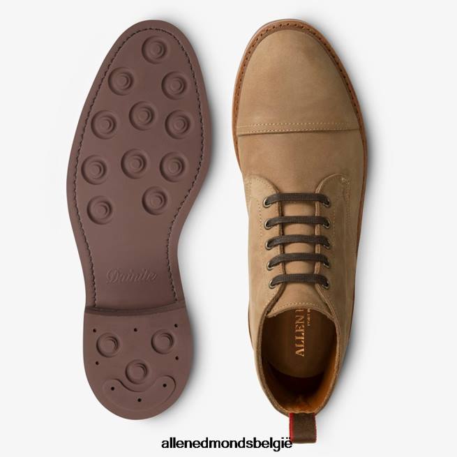 Heren Allen Edmonds patton weerbestendige cap-toe laars bruinen HDSF45132