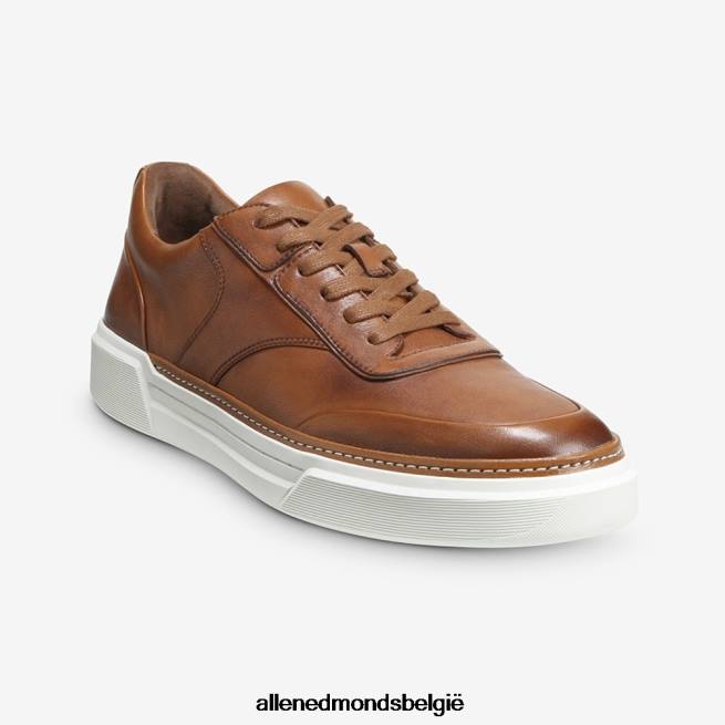 Heren Allen Edmonds burke sneaker met veters bruinen HDSF45371
