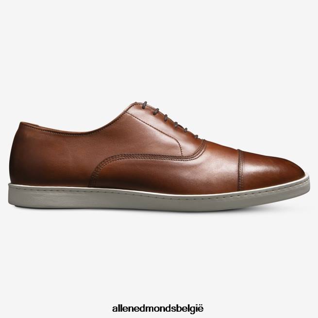 Heren Allen Edmonds park avenue oxford geklede sneaker Chili HDSF452