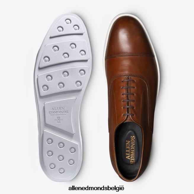 Heren Allen Edmonds park avenue oxford geklede sneaker Chili HDSF452